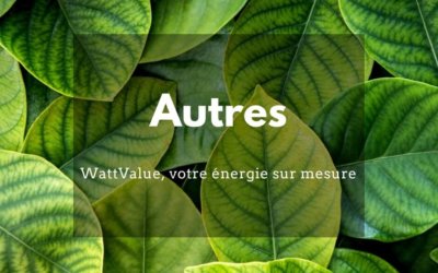 On parle de WattValue sur BFM Business en 2017 et en 2015