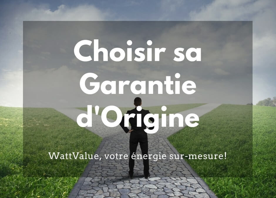 La Loi sur l’autoconsommation et le renouvelable bientôt adoptée