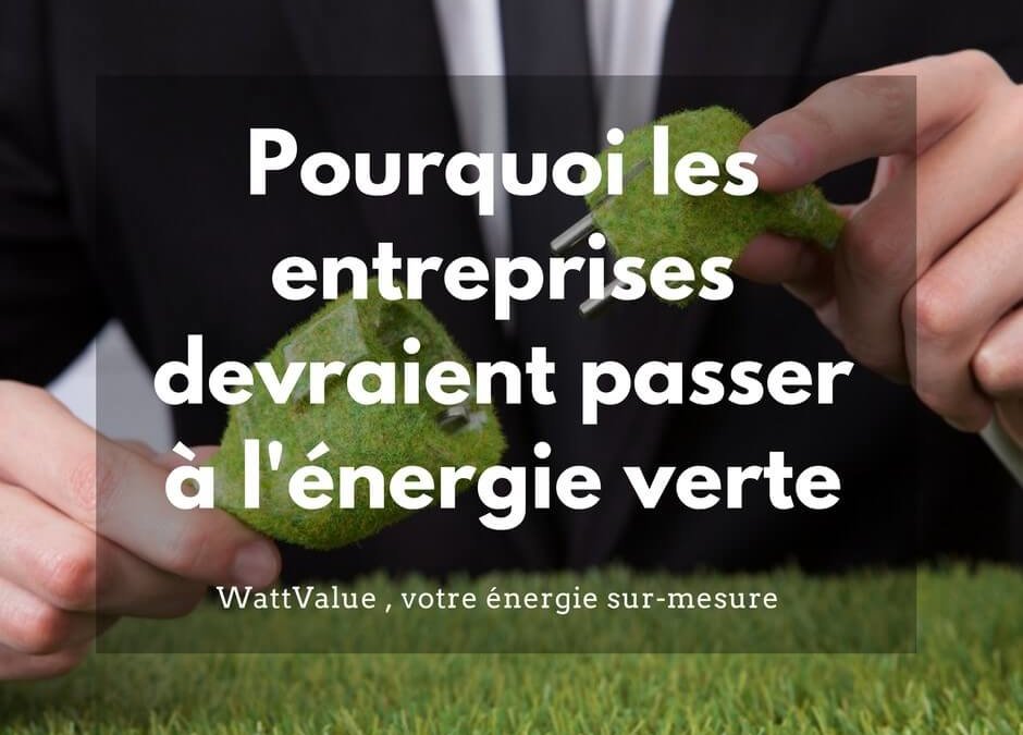 Pourquoi les entreprises devraient passer à l’énergie verte?