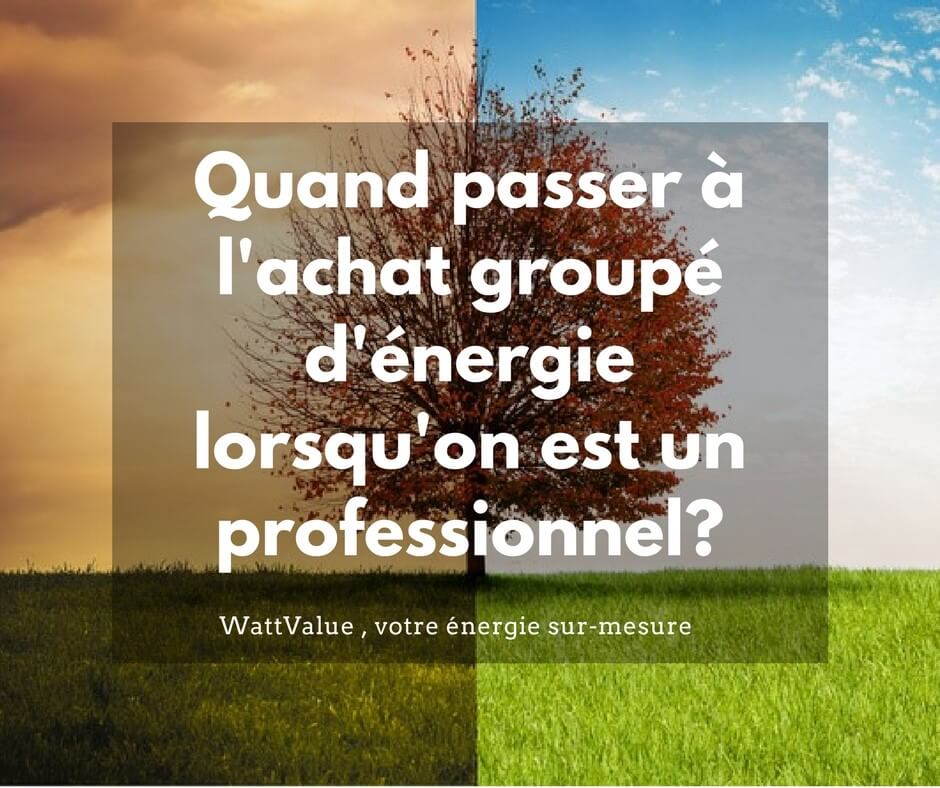 achat groupé d'énergie pour les professionnels