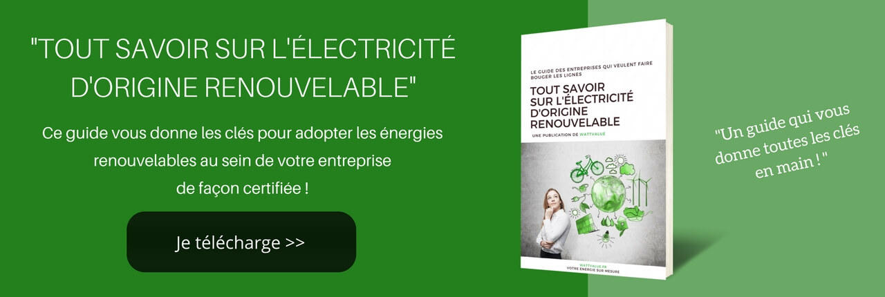 électricité d'origine renouvelable