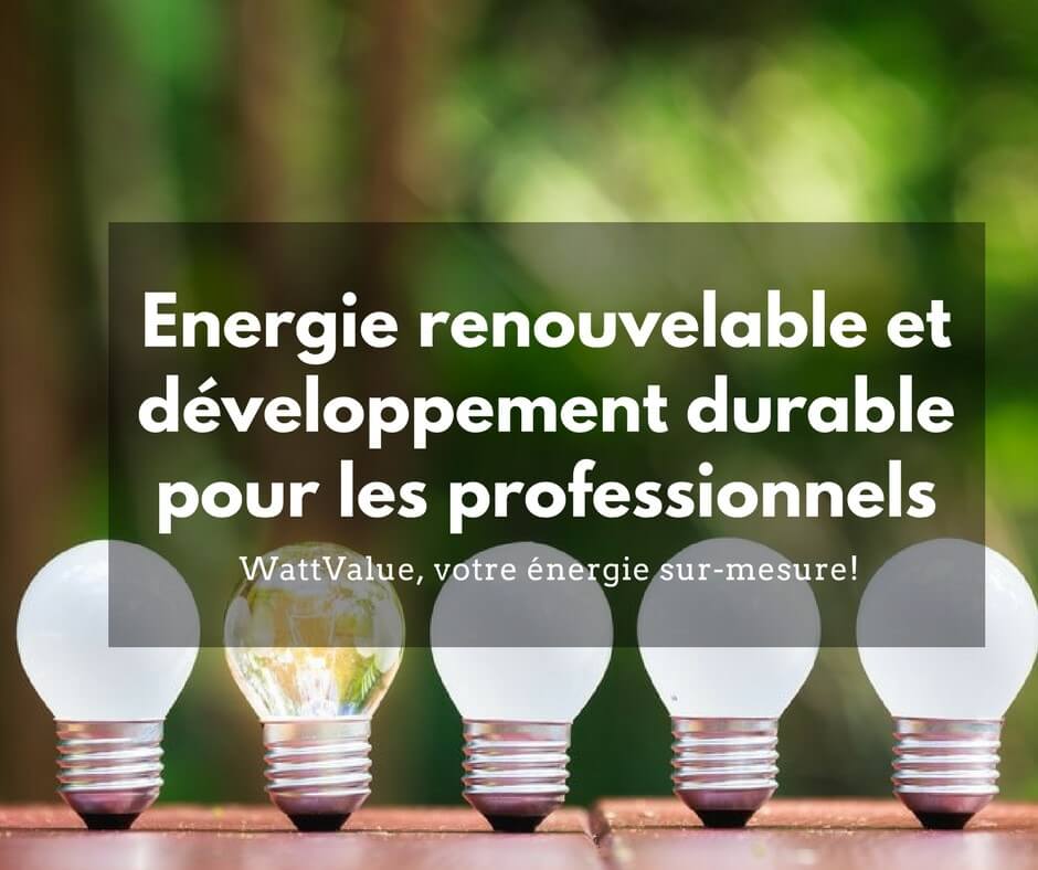 développement durable