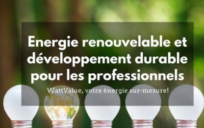 Energie renouvelable et développement durable pour les professionnels