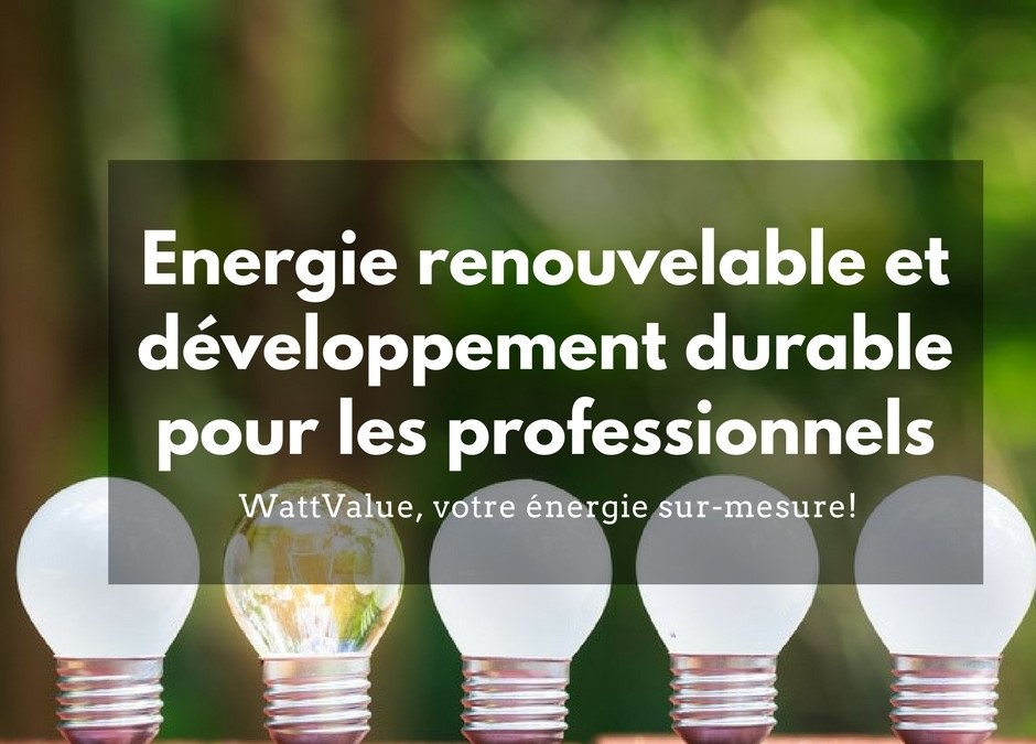 Energie renouvelable et développement durable pour les professionnels
