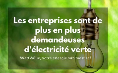Les entreprises de plus en plus demandeuses d’électricité verte
