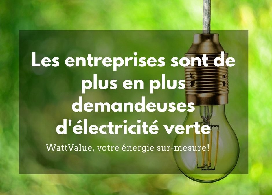 Les entreprises de plus en plus demandeuses d’électricité verte