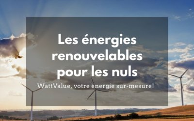 Les énergies renouvelables pour les nuls