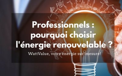 Professionnels : pourquoi choisir l’énergie renouvelable ?