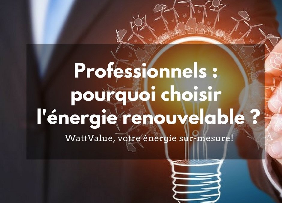 Professionnels : pourquoi choisir l’énergie renouvelable ?