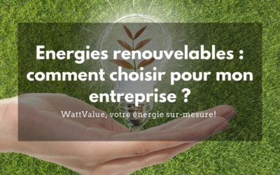 Energies renouvelables : Comment choisir pour mon entreprise ?
