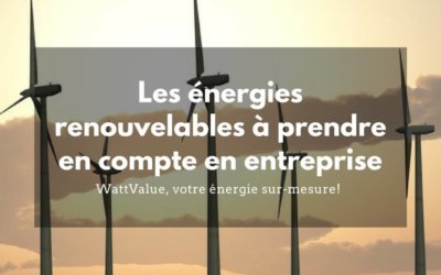 Les différentes énergies renouvelables à prendre en compte en entreprise