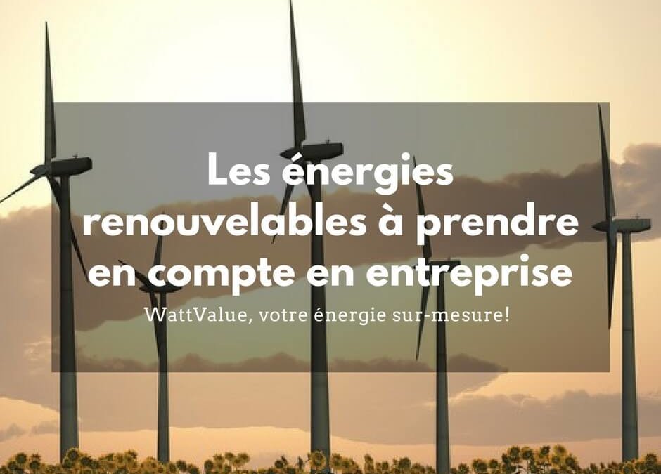 Les différentes énergies renouvelables à prendre en compte en entreprise