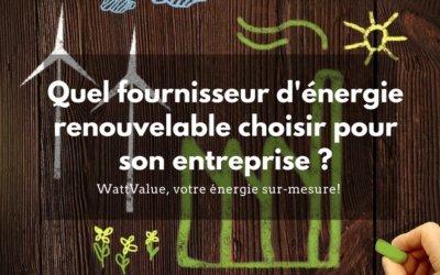 Quel fournisseur d’énergie renouvelable choisir pour son entreprise ?