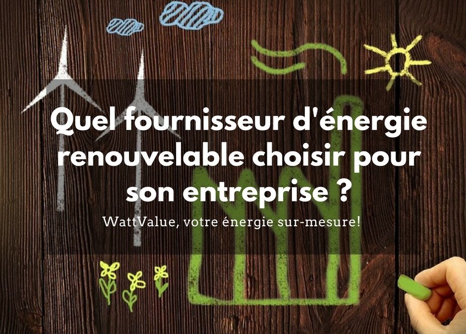 Quel fournisseur d’énergie renouvelable choisir pour son entreprise ?