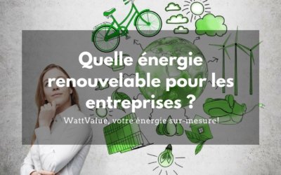 Quelle énergie renouvelable pour les entreprises ?