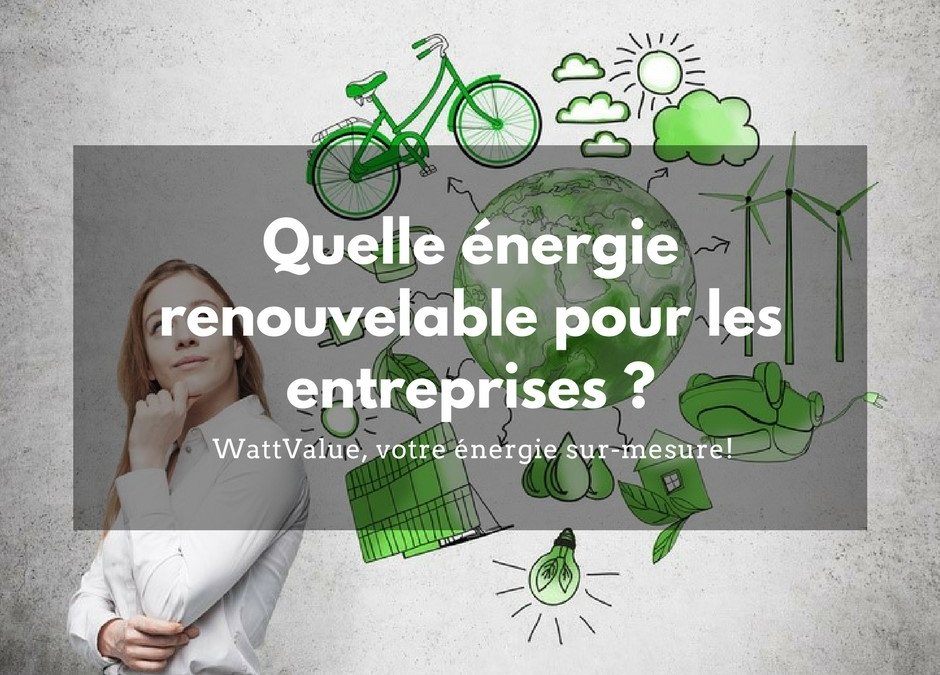 Quelle énergie renouvelable pour les entreprises ?