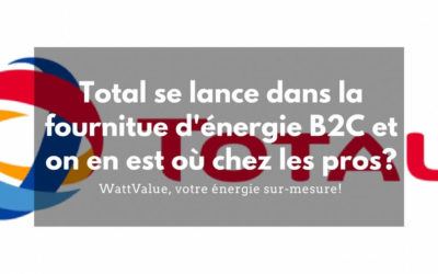 Total se lance dans la fourniture d’énergie pour les particuliers et où en sommes-nous sur le marché des professionnels ?