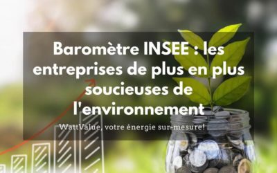 Baromètre INSEE : les entreprises de plus en plus soucieuses de l’environnement