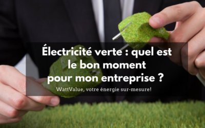 Électricité verte : quel est le bon moment pour mon entreprise ?
