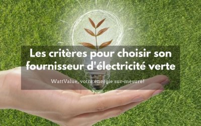 Les critères à considérer pour choisir son fournisseur d’électricité verte