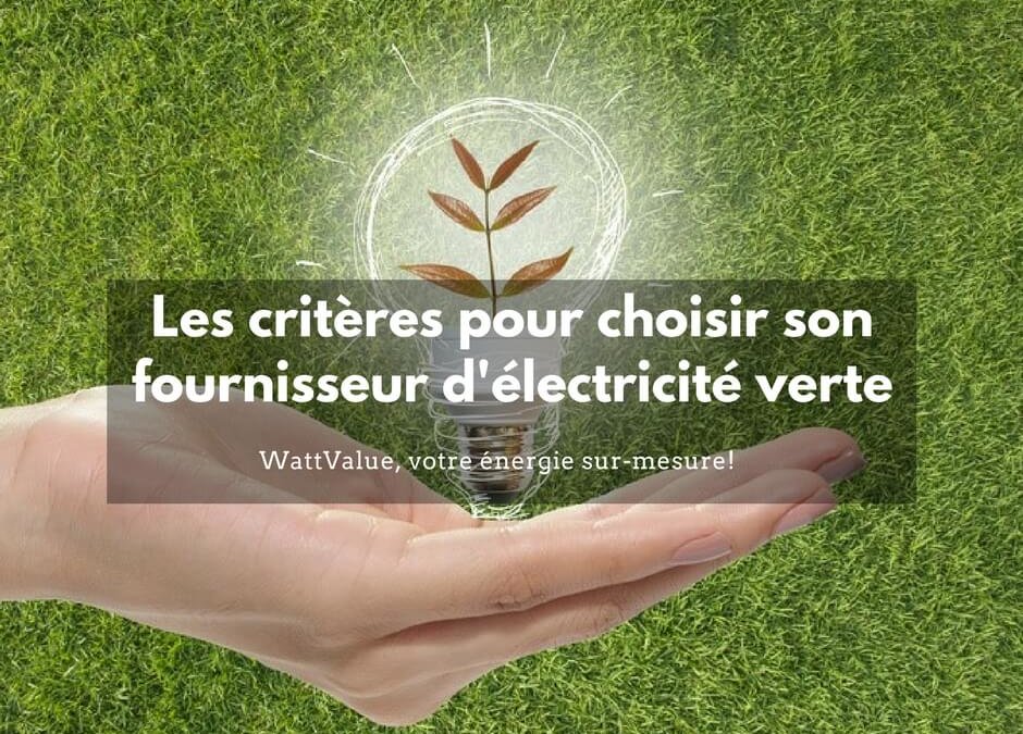 Les critères à considérer pour choisir son fournisseur d’électricité verte