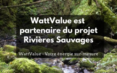 WattValue est partenaire du projet Rivières Sauvages