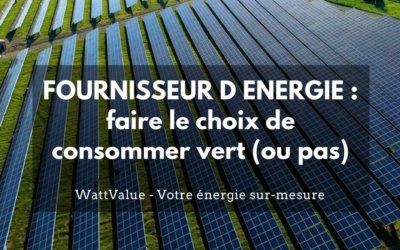 FOURNISSEUR D ENERGIE : faire le choix de consommer vert (ou pas)