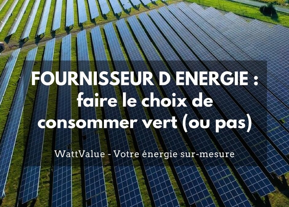 FOURNISSEUR D ENERGIE : faire le choix de consommer vert (ou pas)