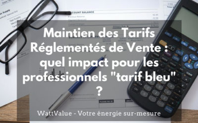 Maintien du Tarif Réglementé de Vente : quel impact pour les professionnels “Tarif Bleu” ?