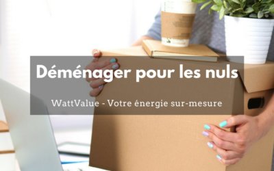 Déménager pour les nuls