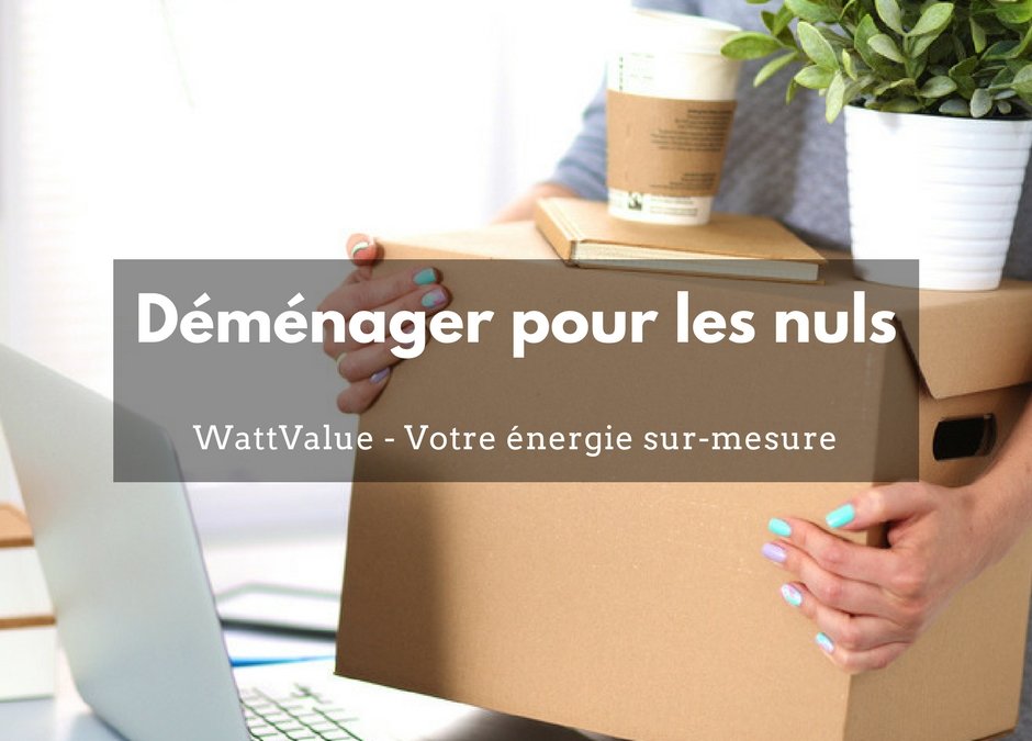 Déménager pour les nuls