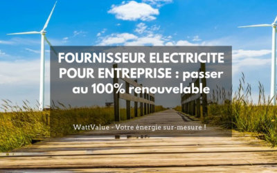FOURNISSEUR ELECTRICITE POUR ENTREPRISE : passer au 100% renouvelable