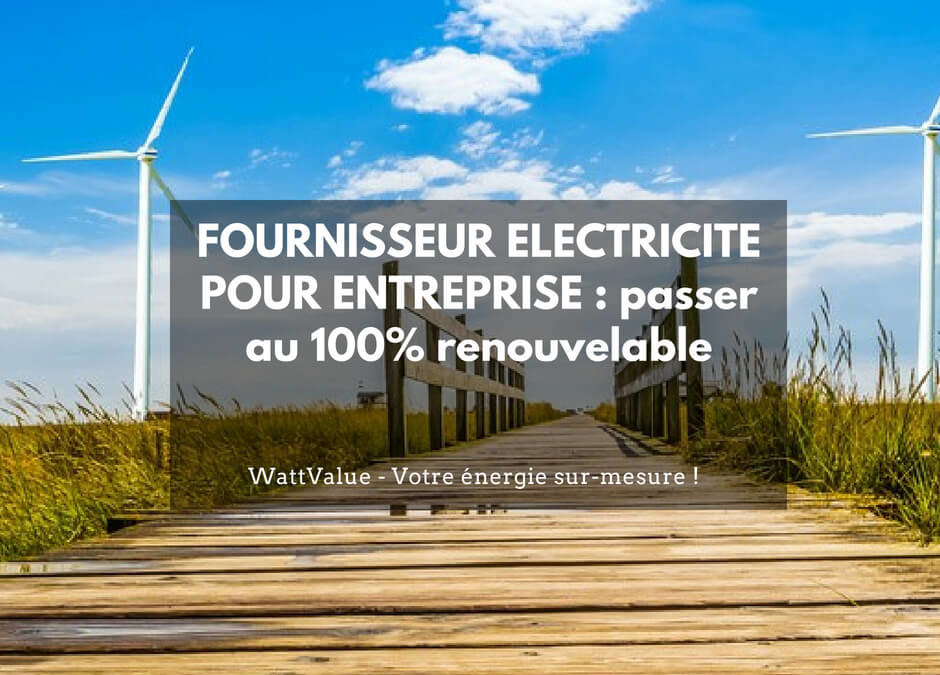 FOURNISSEUR ELECTRICITE POUR ENTREPRISE : passer au 100% renouvelable