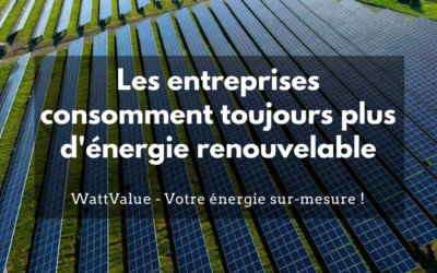 Les entreprises consomment toujours plus d’énergie renouvelable