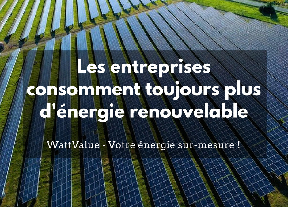 Les entreprises consomment toujours plus d’énergie renouvelable