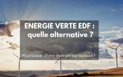 ENERGIE VERTE EDF : quelle alternative ?