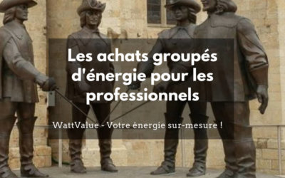 [Vidéo] LES ACHATS GROUPÉS D’ÉNERGIE POUR LES PROFESSIONNELS
