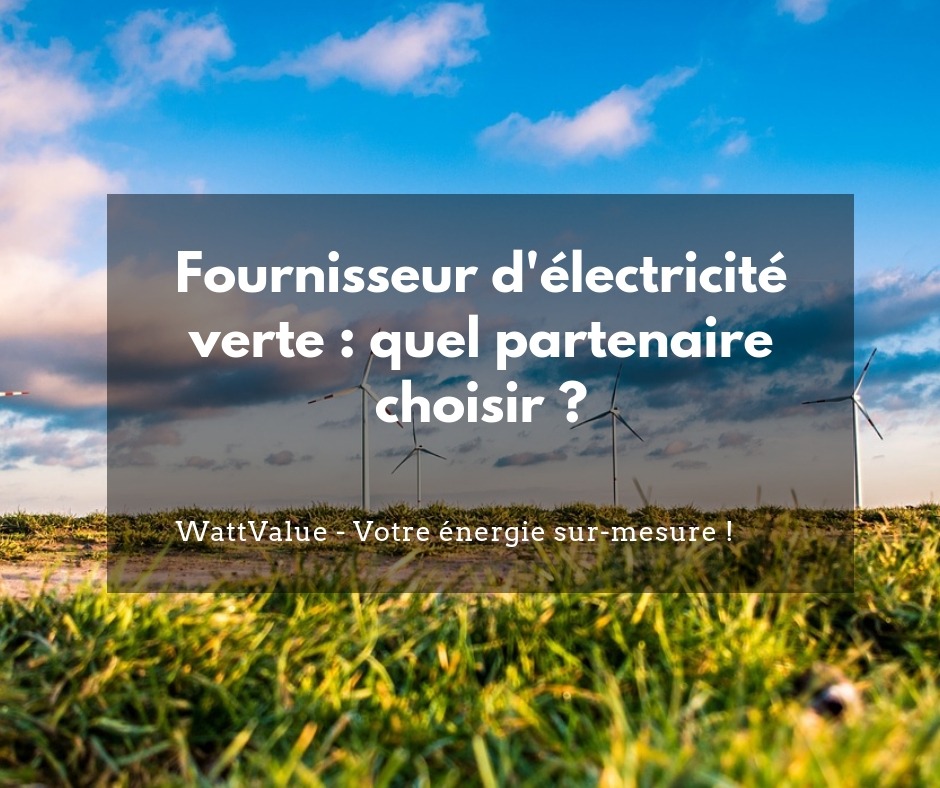 fournisseur électricité verte