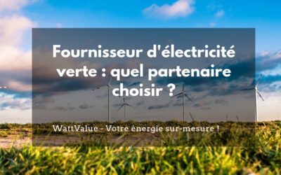 Fournisseur d’électricité verte : quel partenaire choisir ?