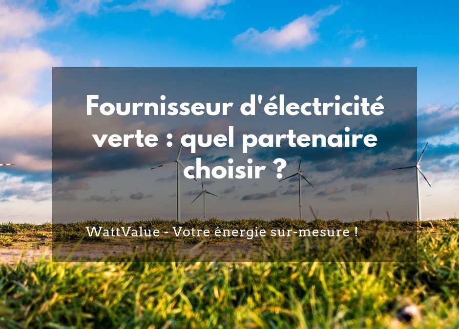 Fournisseur d’électricité verte : quel partenaire choisir ?