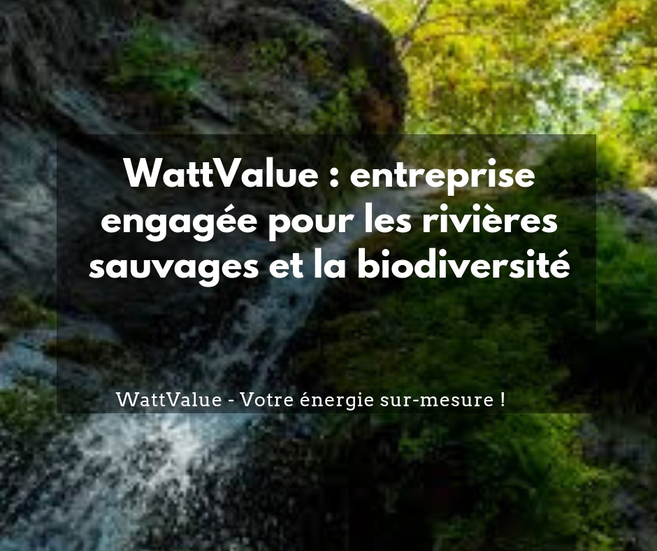 biodiversité