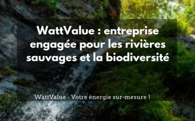 WattValue, une entreprise engagée pour les rivières sauvages et la biodiversité