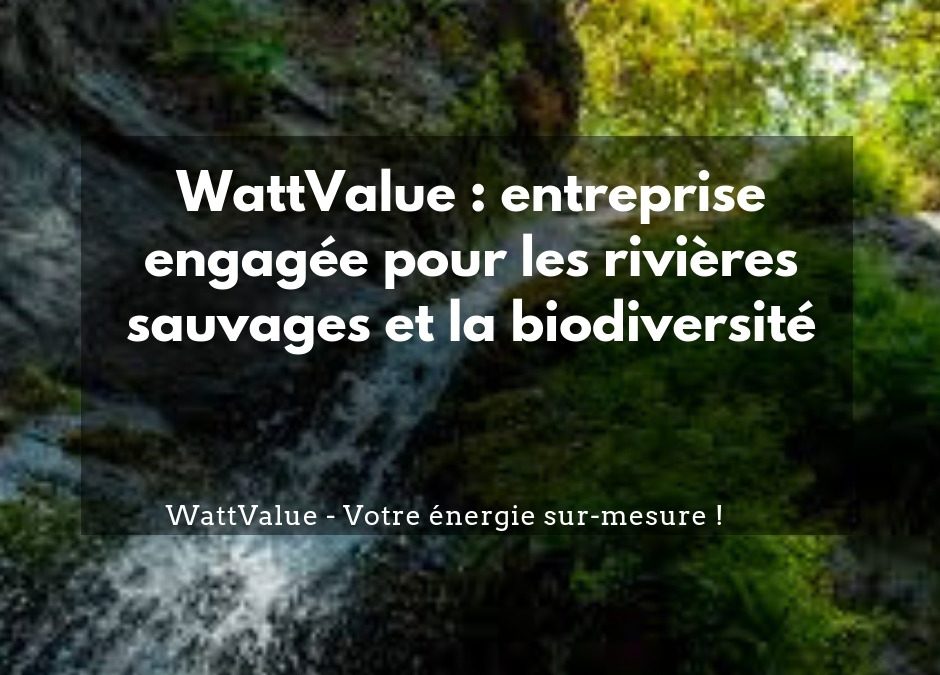 WattValue, une entreprise engagée pour les rivières sauvages et la biodiversité