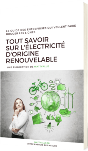 tout-savoir-sur-lenergie-renouvelable