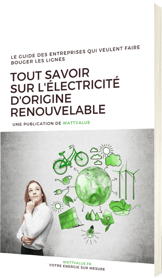 Guide WattValue Tout savoir sur l'électricité d'origine renouvelable