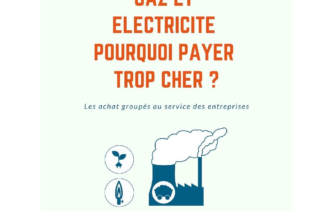 Gaz et électricité _ pourquoi payer plus cher _ Le guide ultime des acheteurs avisés