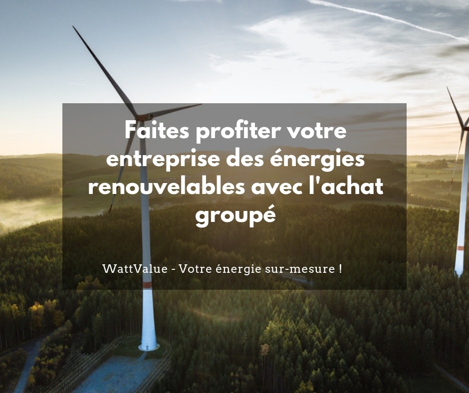 achat roupé d'énergies renouvelables