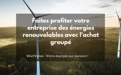 Faites profiter votre entreprise des énergies renouvelables avec l’achat groupé