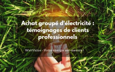 Achat groupé d’électricité : témoignages de clients professionnels