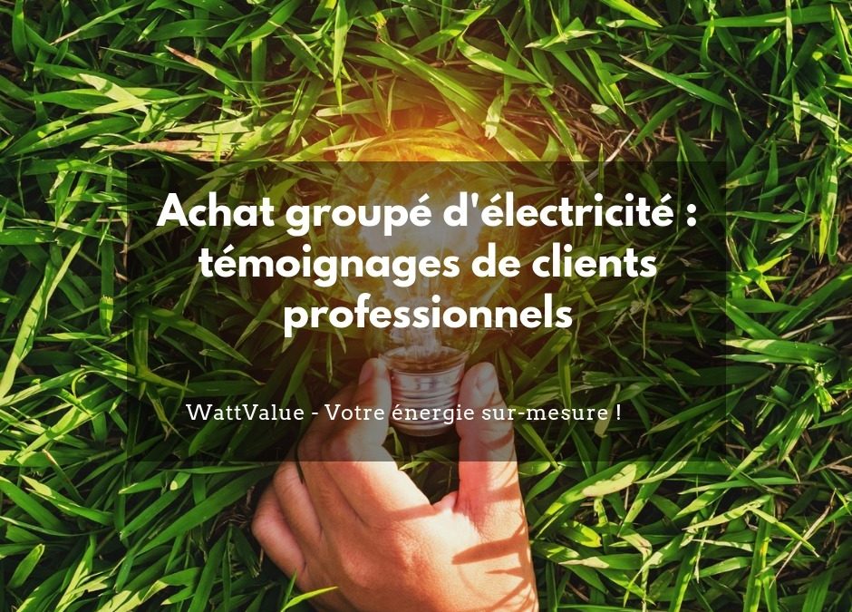 Achat groupé d’électricité : témoignages de clients professionnels